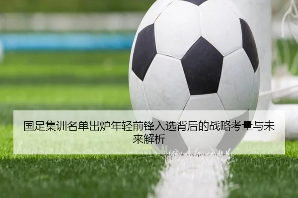 国足集训名单出炉年轻前锋入选背后的战略考量与未来解析